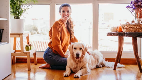 Die 25 besten Gimmicks für Hunde