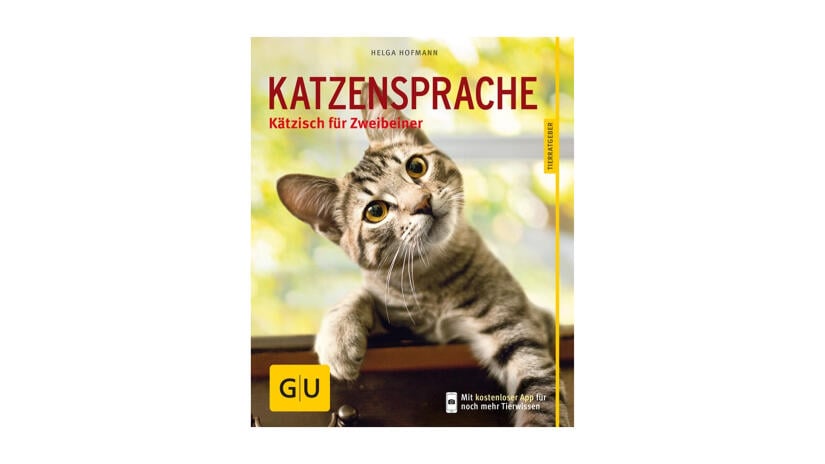 Kätzisch für Zweibeiner
