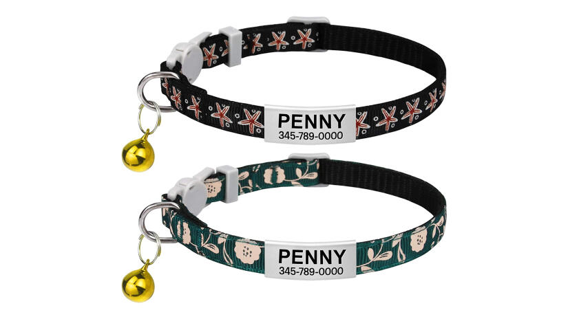 Personalisiertes Katzen-Halsband
