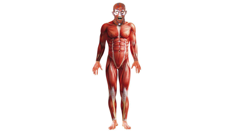 Anatomie-Kostüm