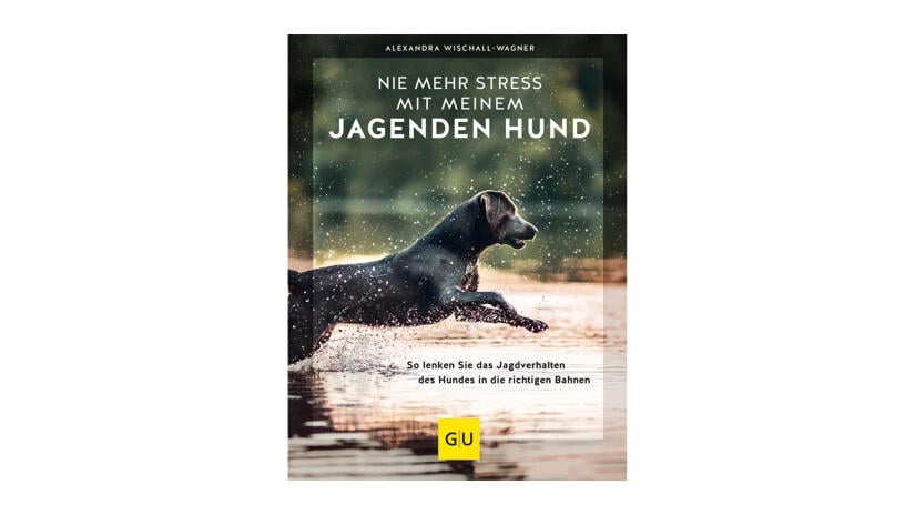 Ratgeber: Jagdverhalten lenken