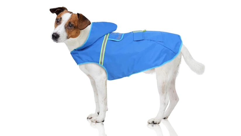 Hunde-Regenmantel