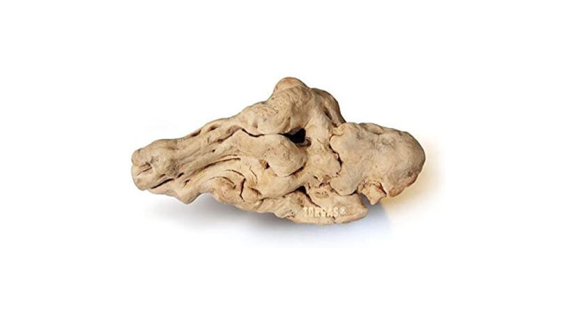 Kauwurzel für Hunde