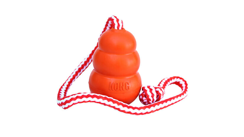 KONG<sup>&reg;</sup> Aqua