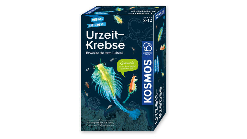 Urzeit-Krebse selber züchten